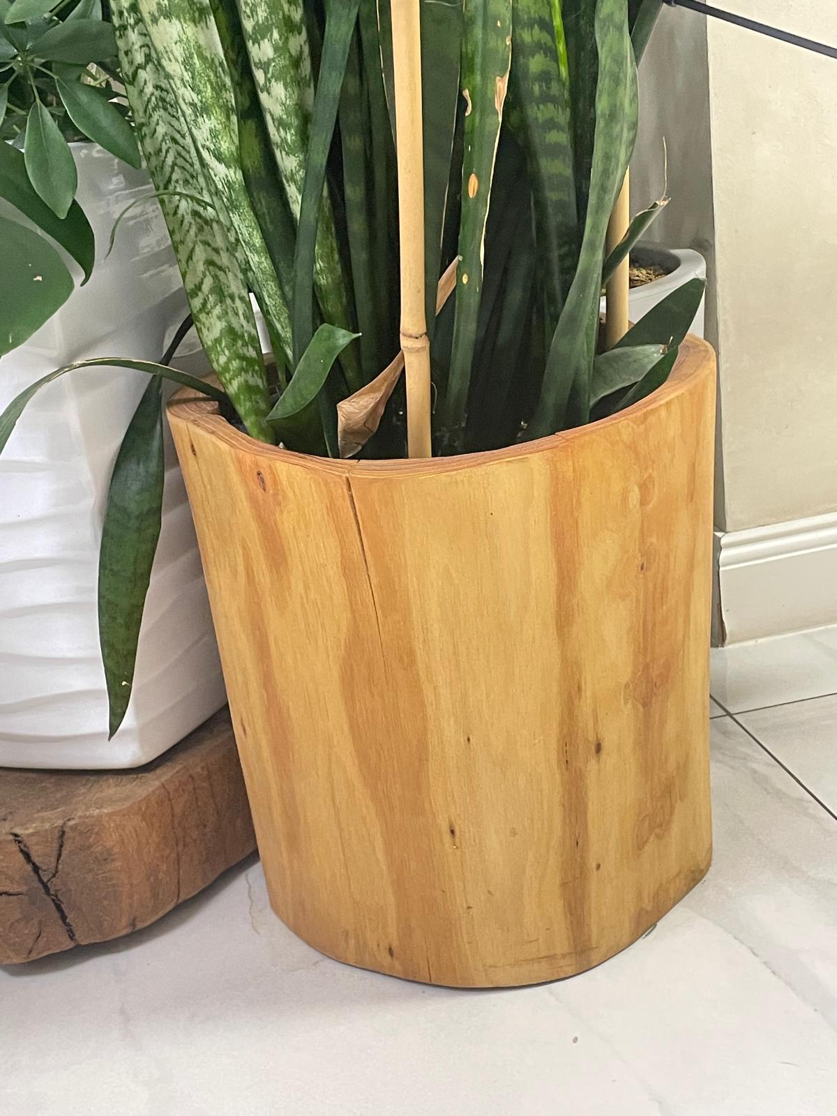 Donice do wnętrz i ogrodów - obrazek 7