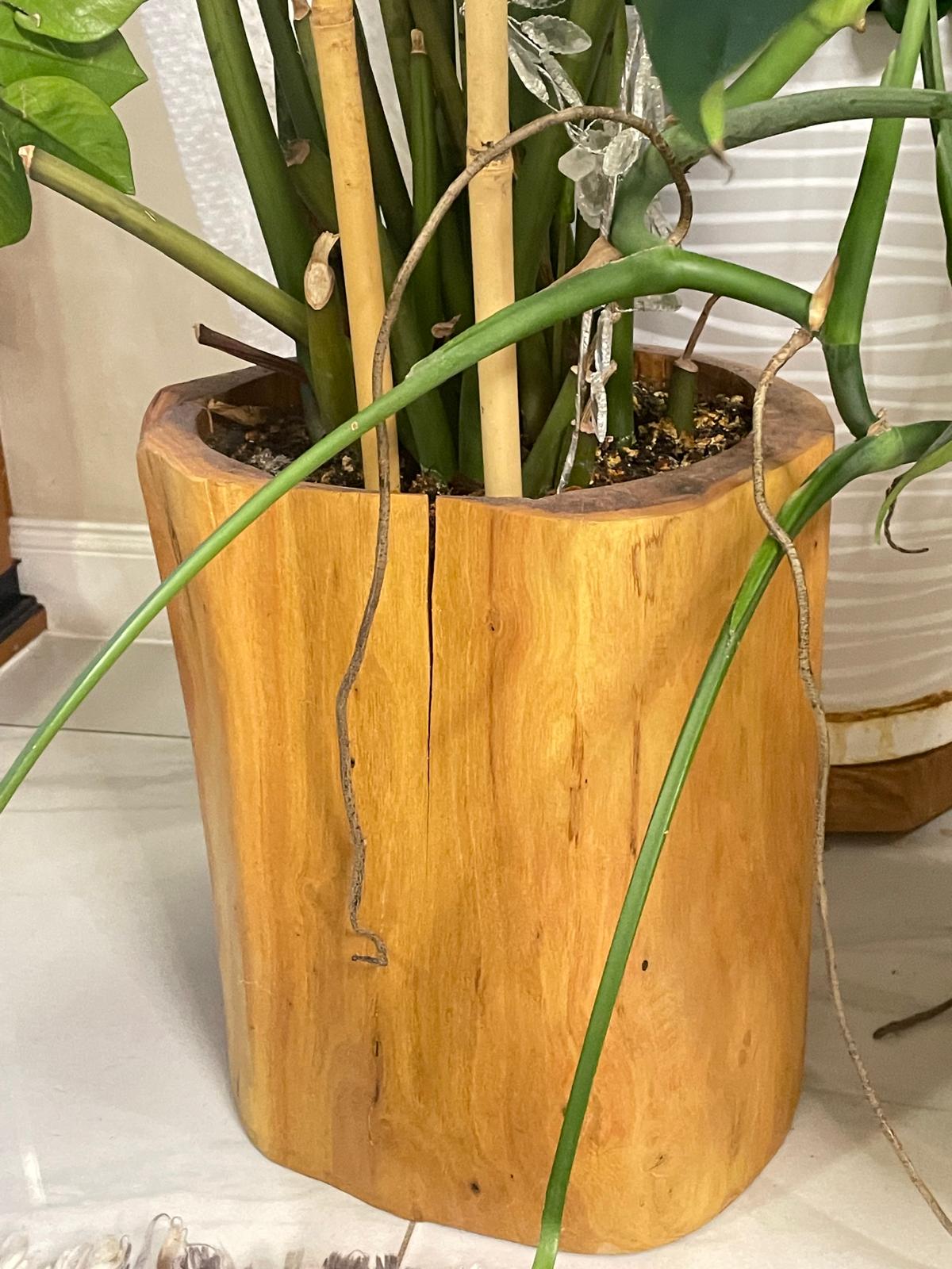 Donice do wnętrz i ogrodów - obrazek 6