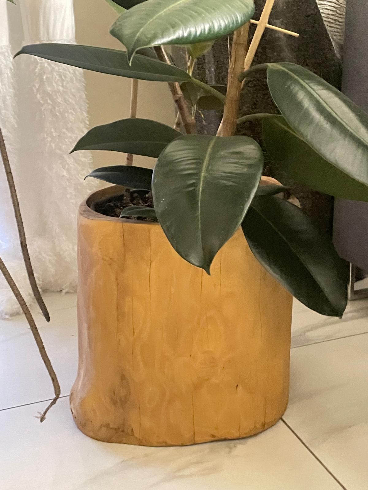 Donice do wnętrz i ogrodów - obrazek 5