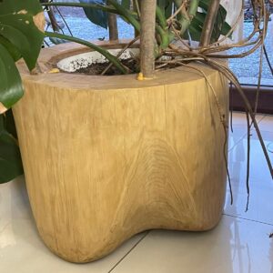 Donice do wnętrz i ogrodów