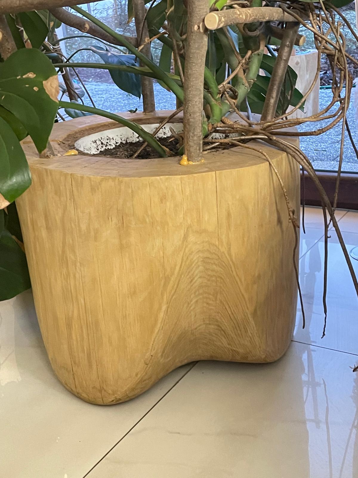 Donice do wnętrz i ogrodów