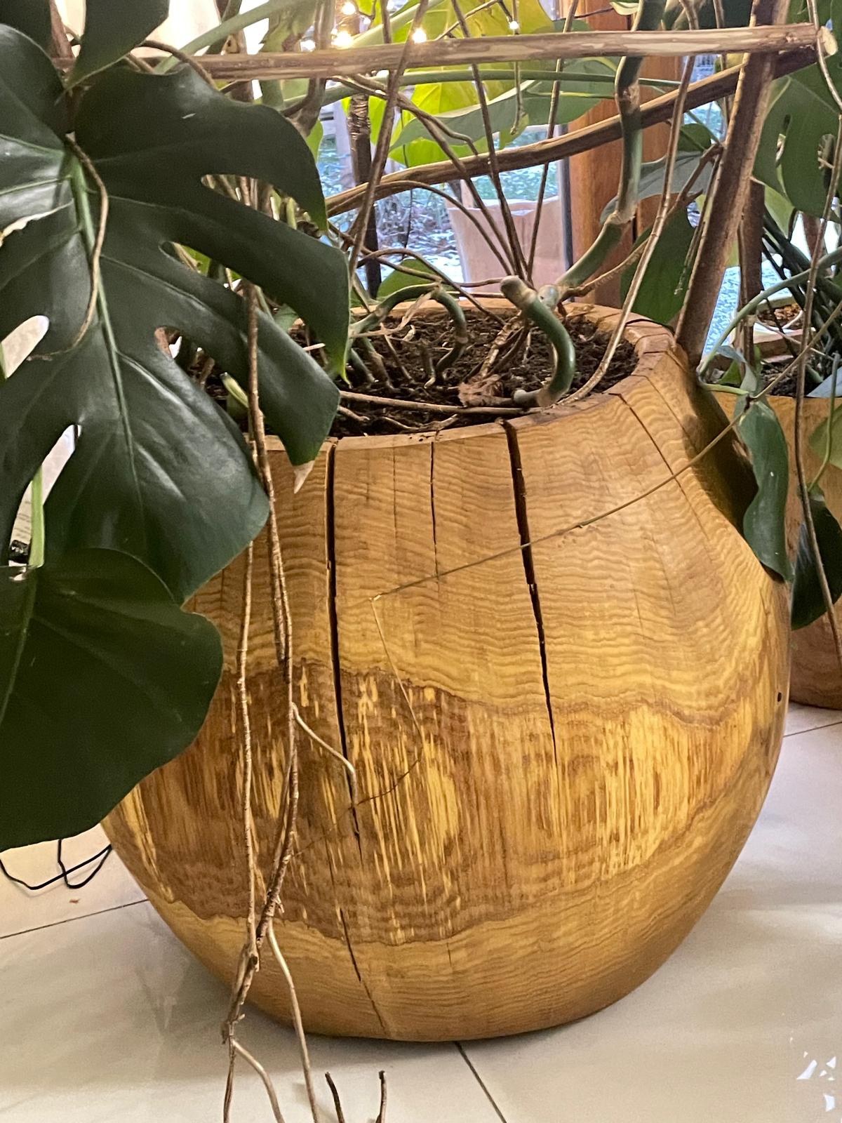 Donice do wnętrz i ogrodów - obrazek 3