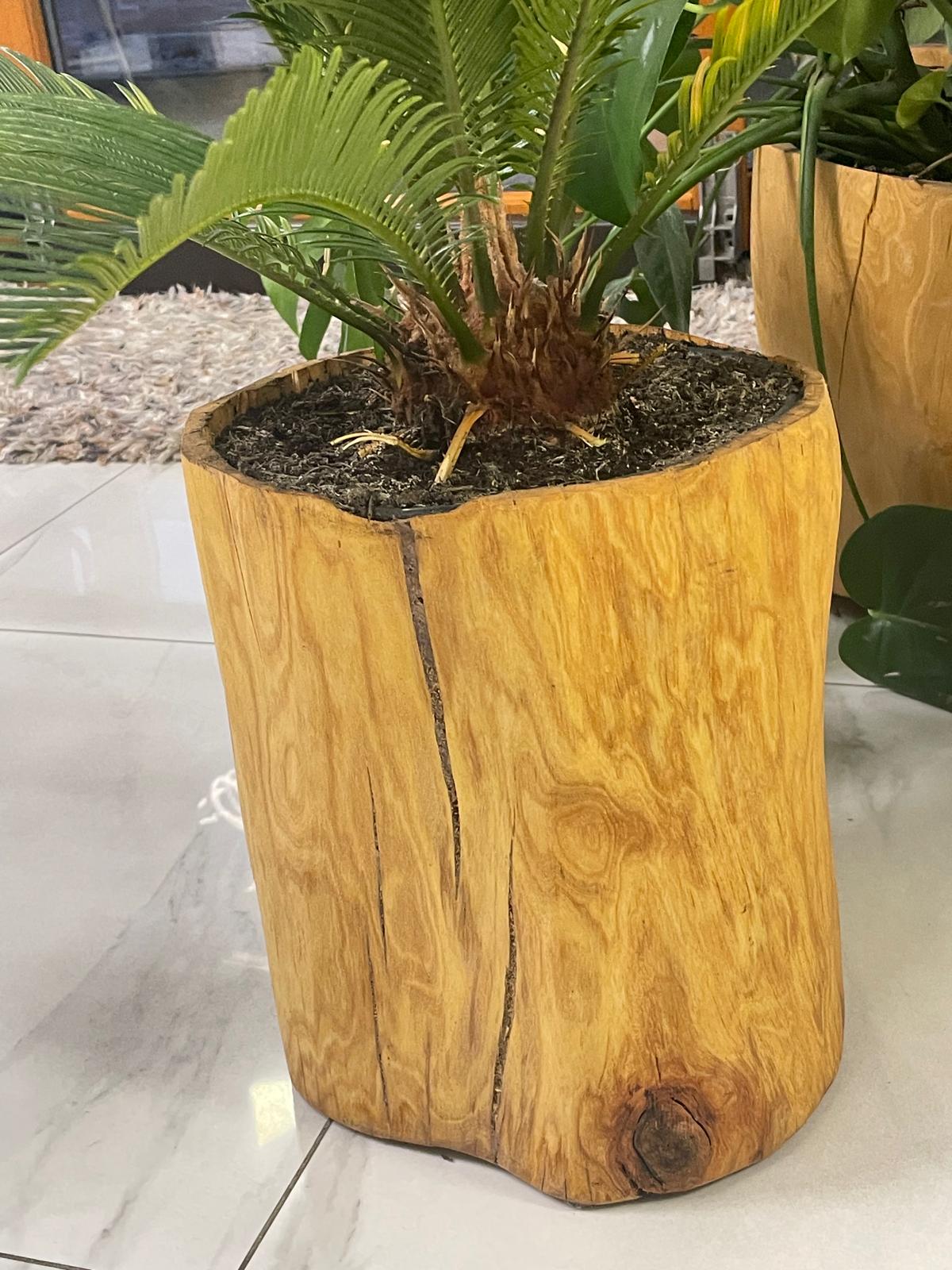 Donice do wnętrz i ogrodów - obrazek 2